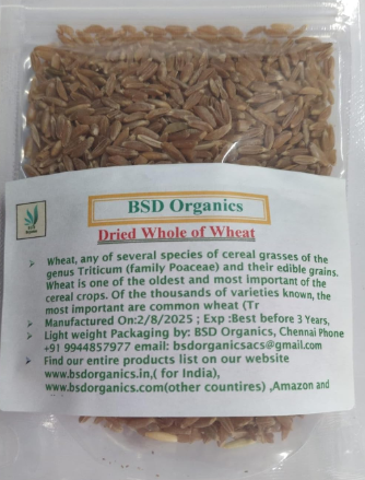 BSD Organics Dried Whole of Wheat / Atta / Gehoon / Kotumai (100 Gram / 3.5 Ounce)