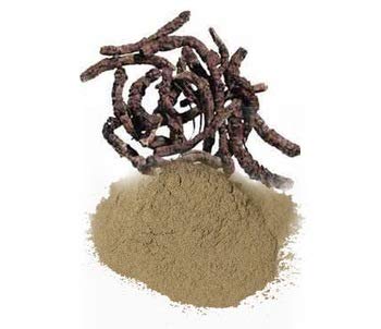 BSD Organics HerbY Healthy Gut Powder of Kutki/Piccorrhiza Kurroa/Kardi - 25 Grams