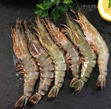 fresh shrimp(prawn) - 1 kg