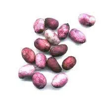 BSD Organics Dried Java plum Jamun Seeds/naval palam/nausena phal/Naukāśrayaṁ/Naudala pālama seeds dried - 100g