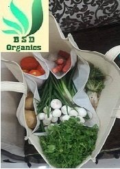BSD Organics Eco Lite Cotton Bag with Pockets for Purchase of Vegetables, Fruits, Grocery and More -2 Number
