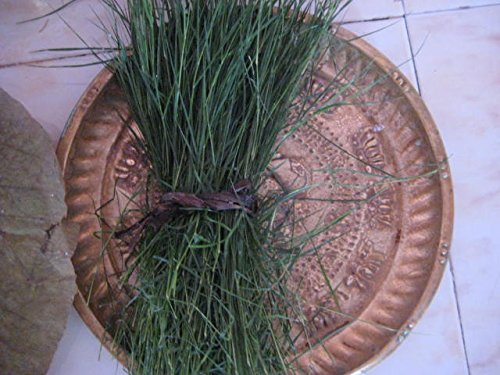 BSD Organics Grass Leaves for puja etc. - 50 gms