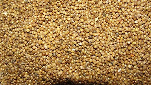 BSD Organics Healthy Foxtail Millet / Thinai - 300 g