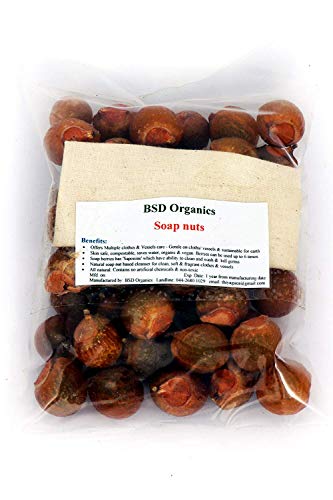 BSD Organics CleanY Big Soap nuts (Reetha, Areetha, kunkudukaialu) - 1 KG